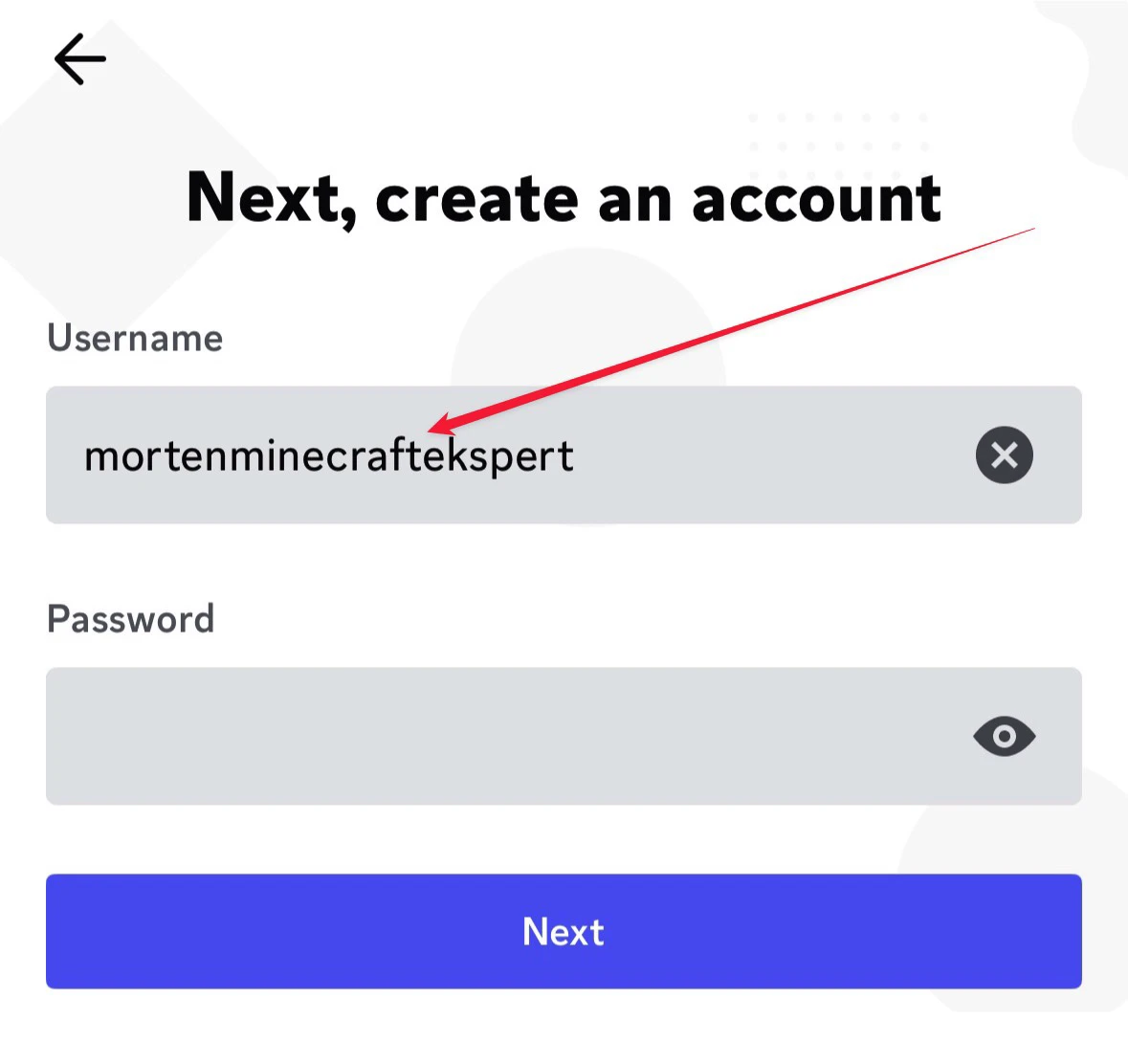 Discord login name